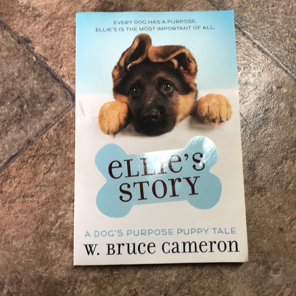 Kids chapter book